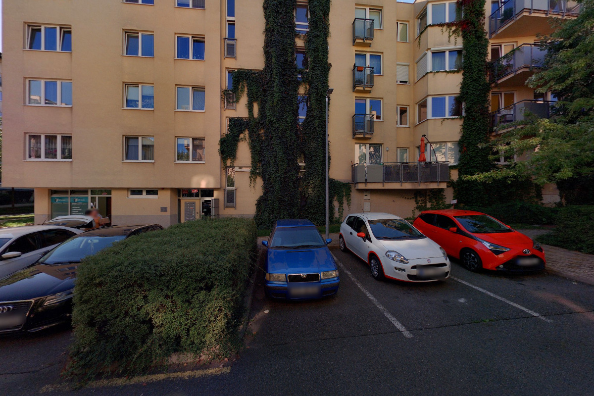 Fyzio pro psy - Ing. Ivana Votrubová, CertCAAPR foto 5