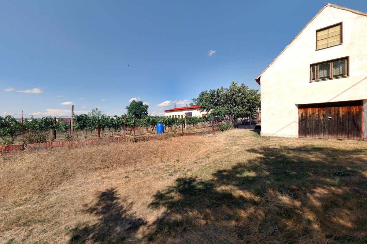 Ústřední kontrolní a zkušební ústav zemědělský