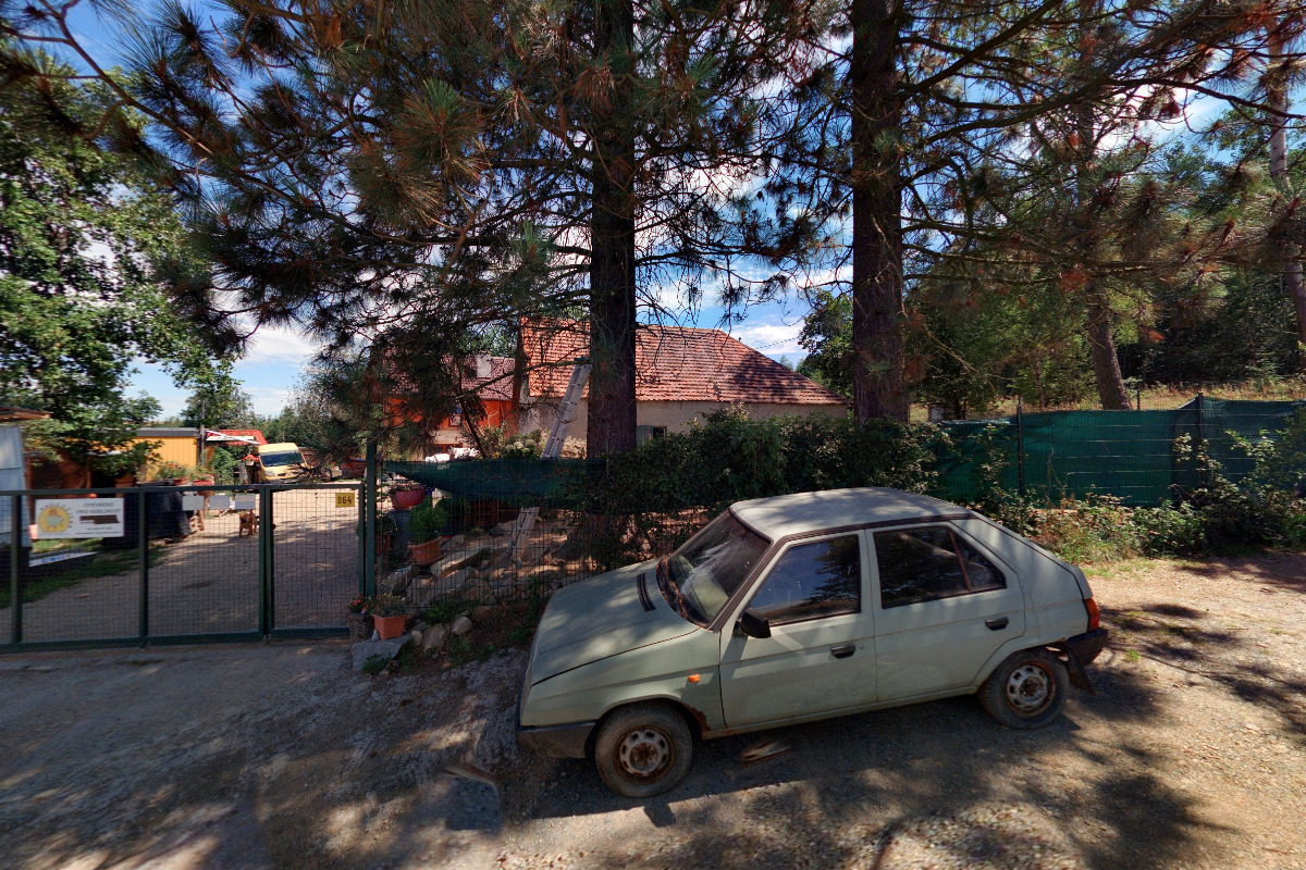 Naděje pro čtyři packy