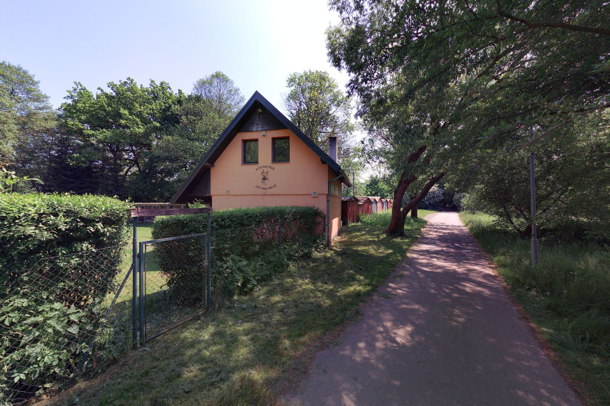 Český kynologický svaz ZKO Ústí nad Orlicí - 486