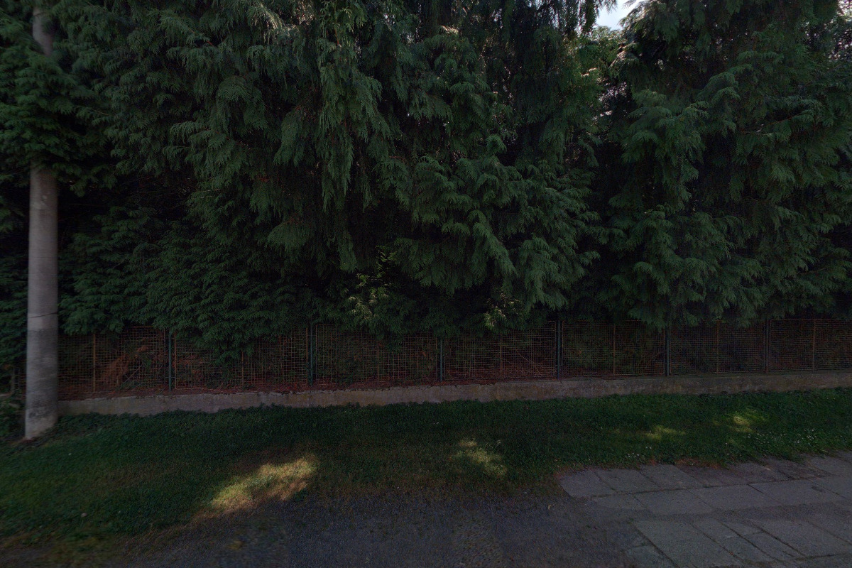 Kytky z České Sibiře foto 4