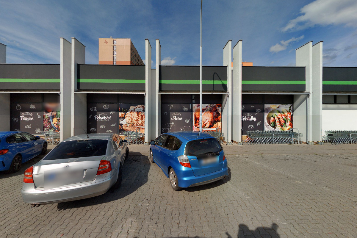 Flamengo květiny foto 2