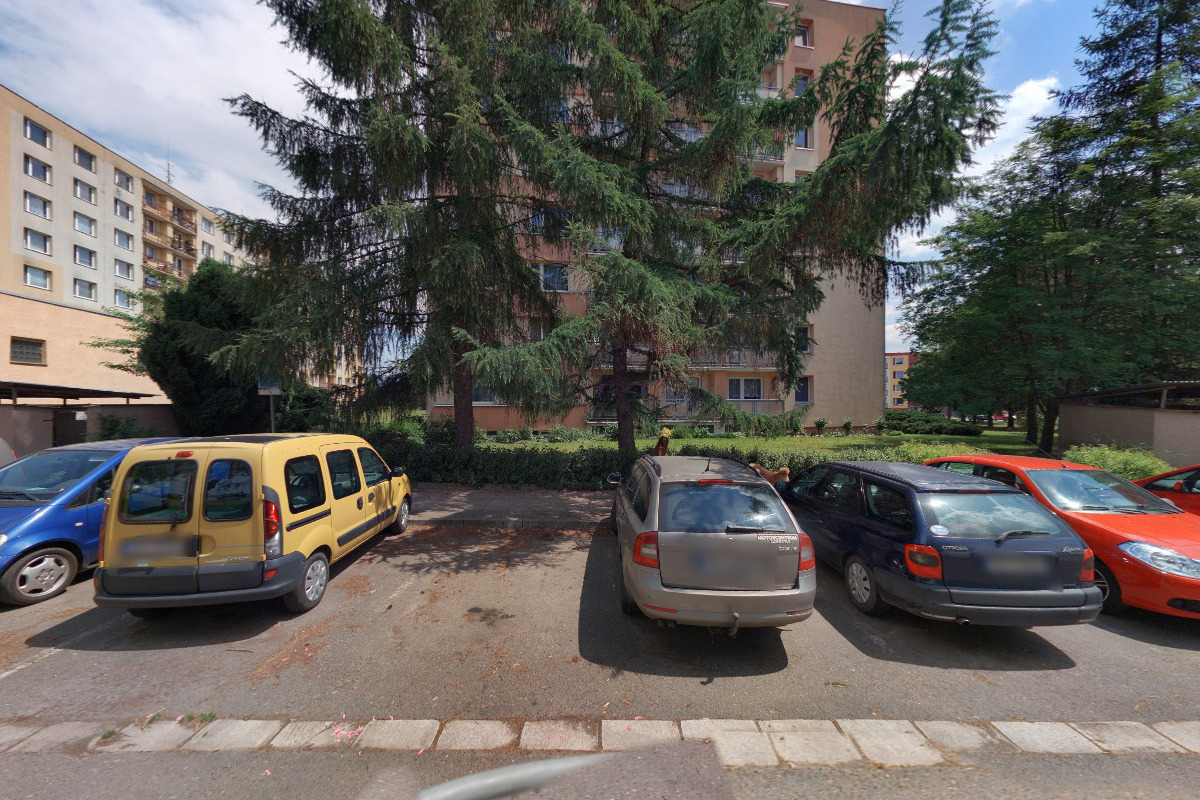 Somebody´s singing foto 2