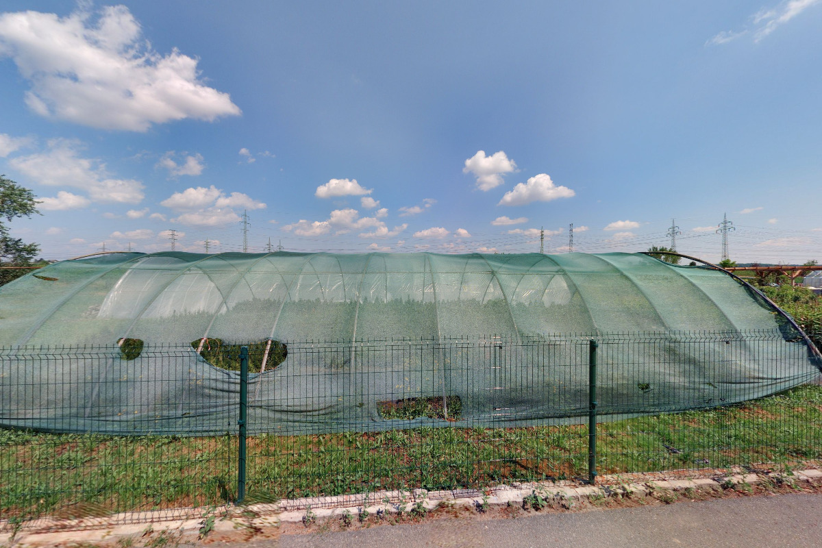 Školní statek Mělník - Zahradnické centrum foto 2