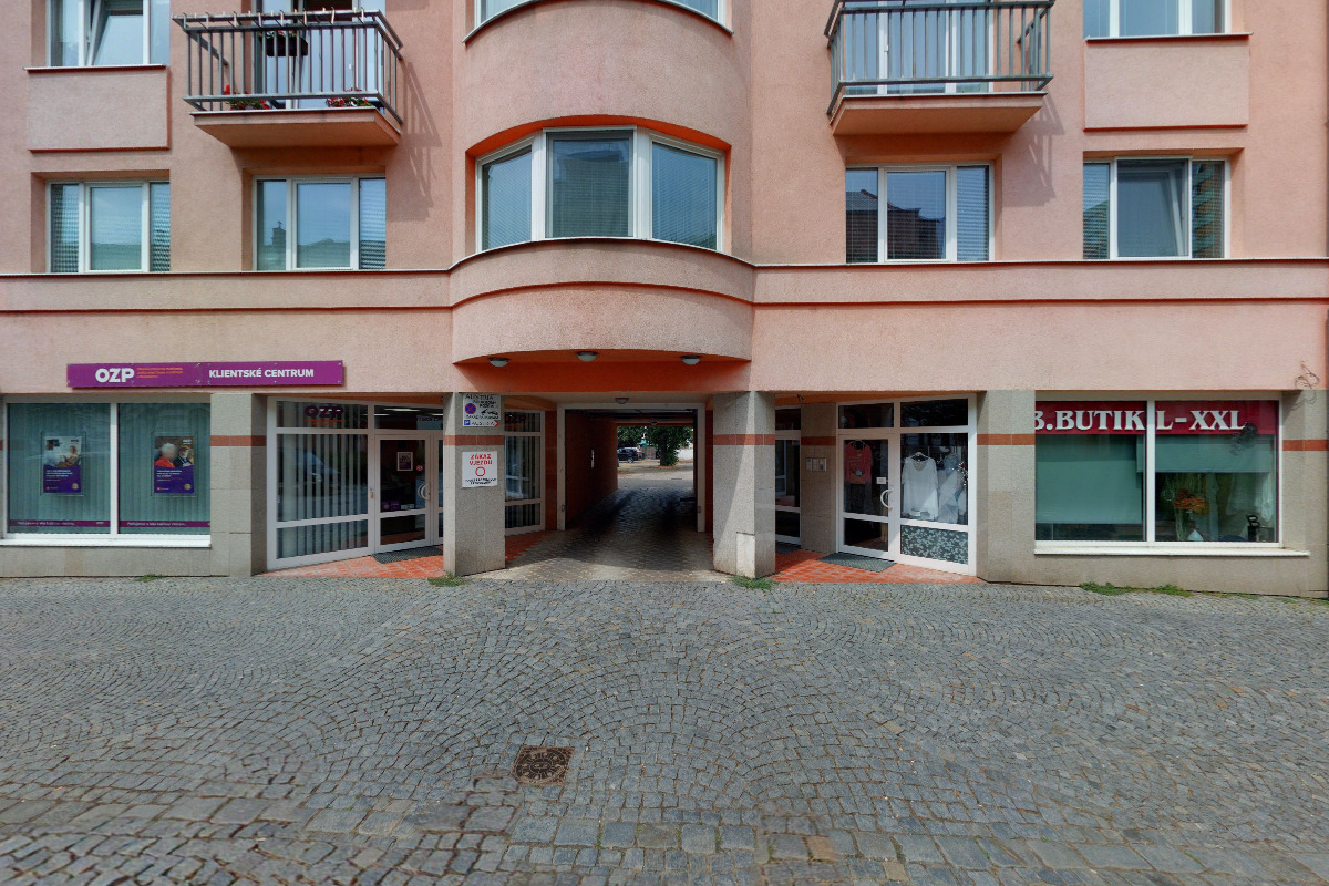 Daňový poradce ev. č. 0036 Ing. Jaroslava Dojivová - Netíková