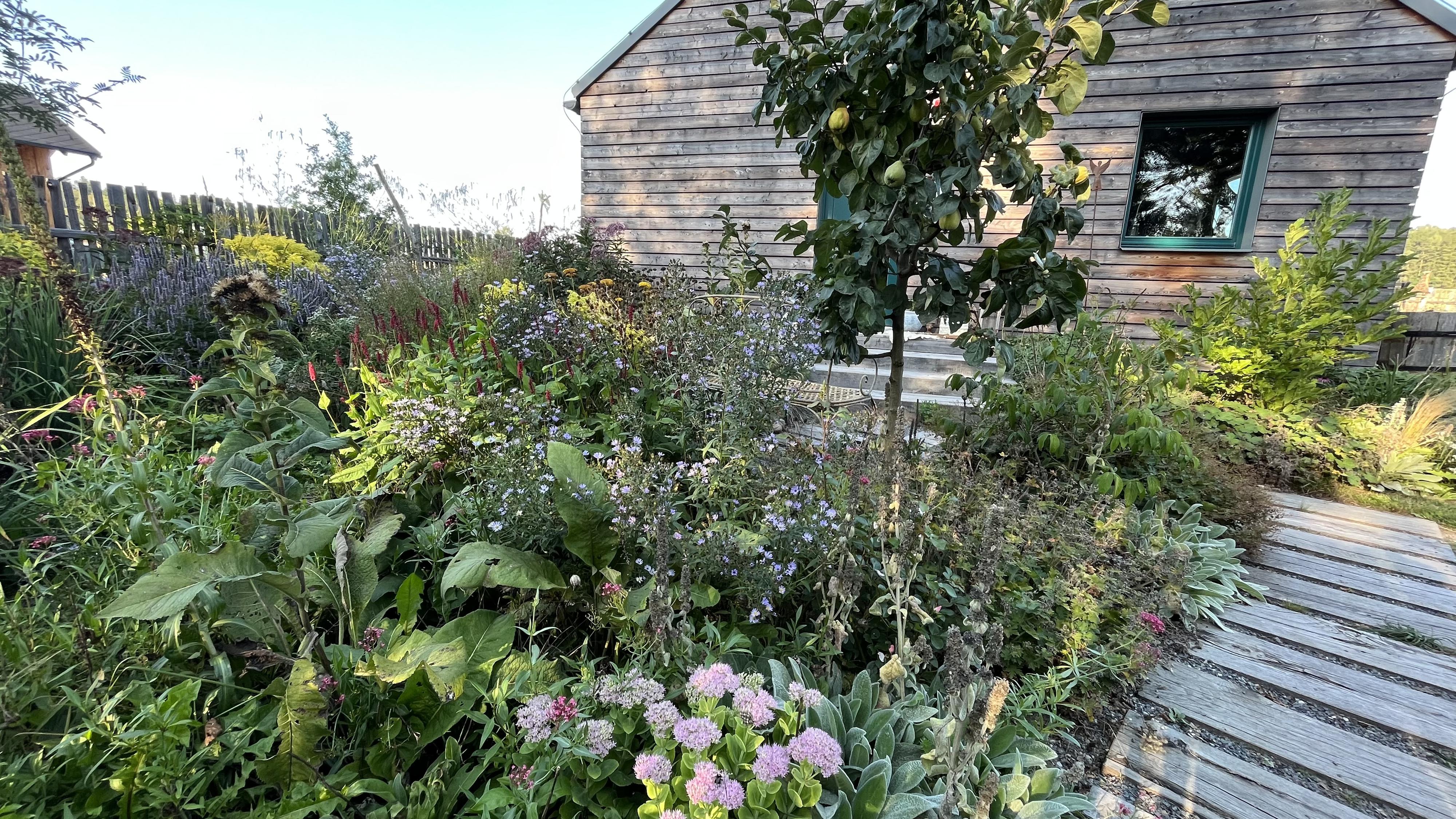 Beryvzahrade - Eva Beránková foto 2