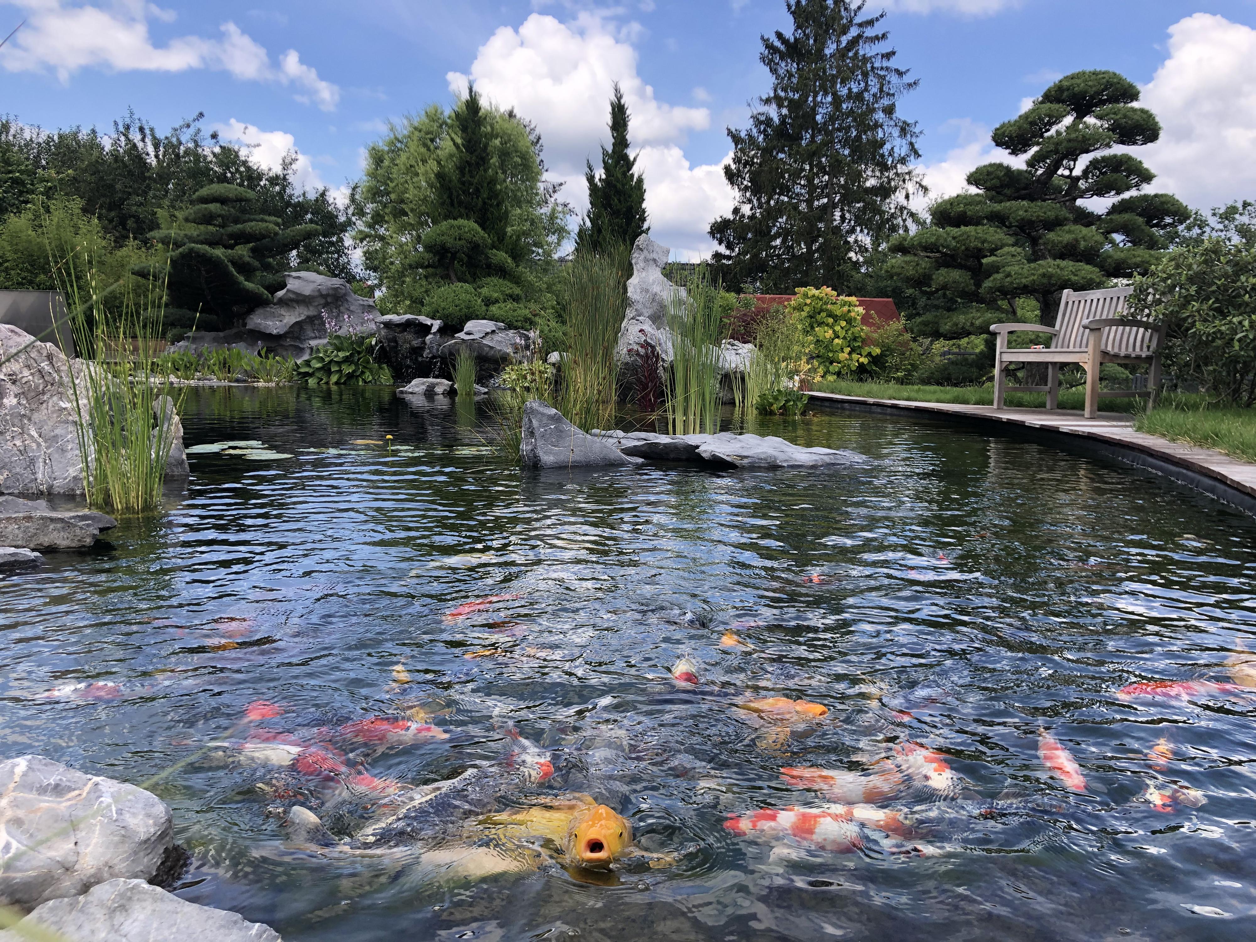 AQUATICA KOI CENTRUM