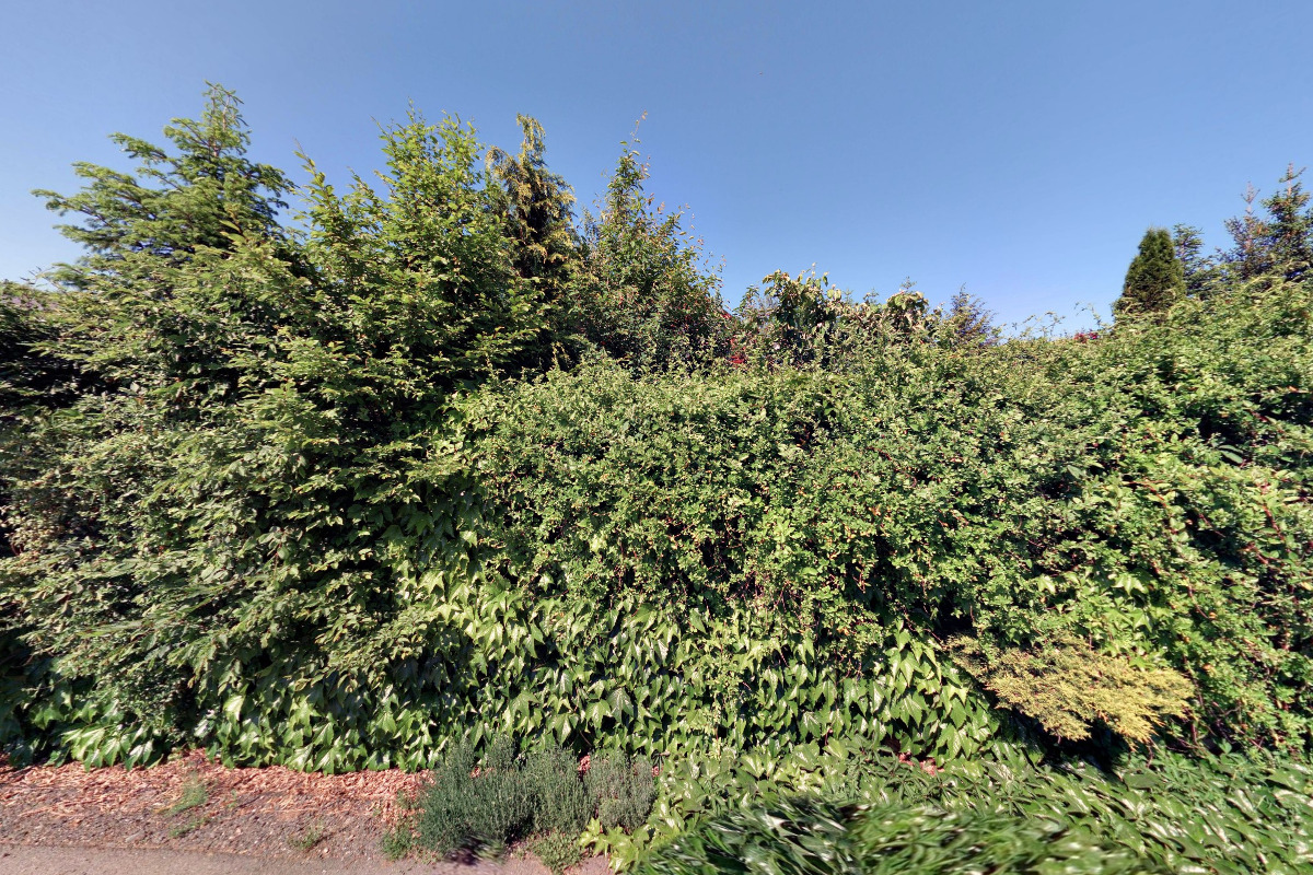 Client Service CZ, s.r.o.