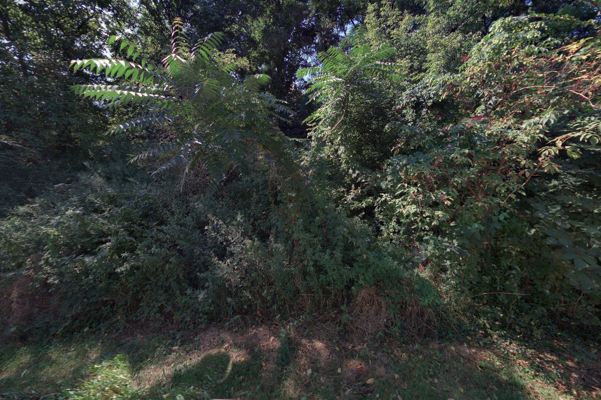 Jarmila Mlýnková – M.S.QUATRO, s.r.o. foto 1