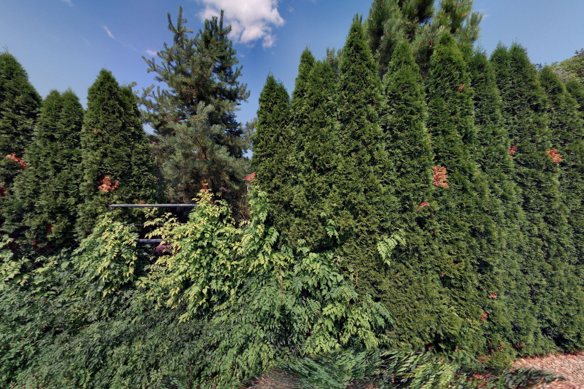 Prázdninový dům u lesa foto 4