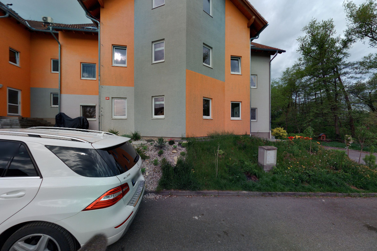 Práce na stromech - Pavel Šefr