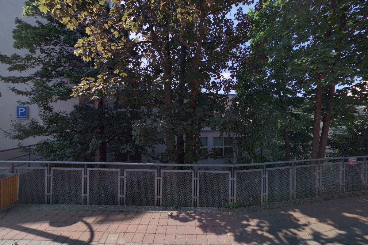 Poradna pro vrozené vady kůže - Fakultní nemocnice Bulovka