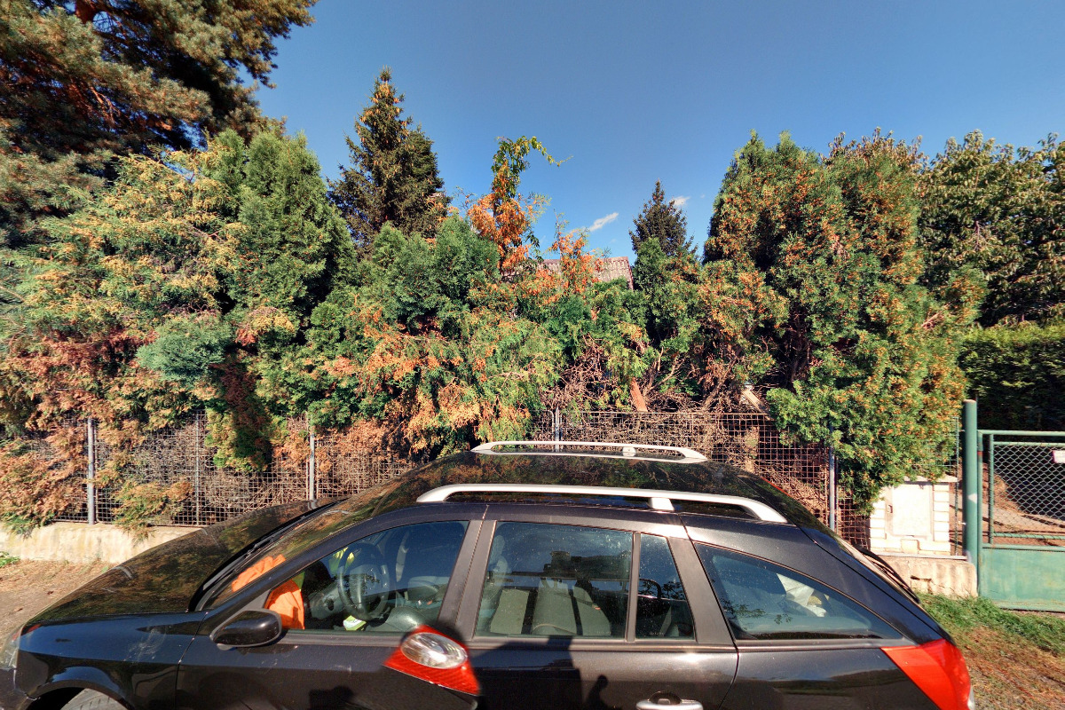 canon4you.material.cz foto 2