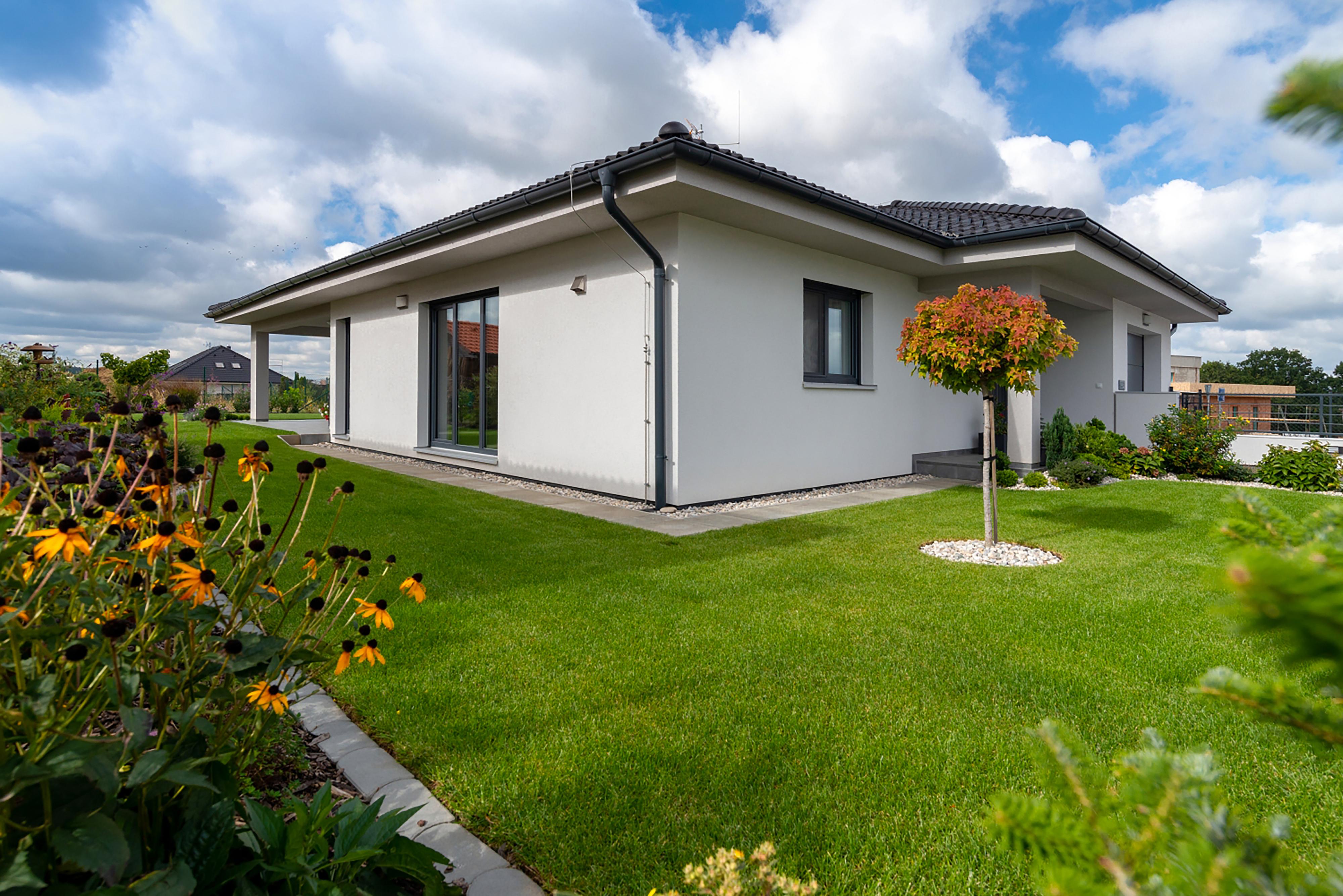 ALFAHAUS foto 4