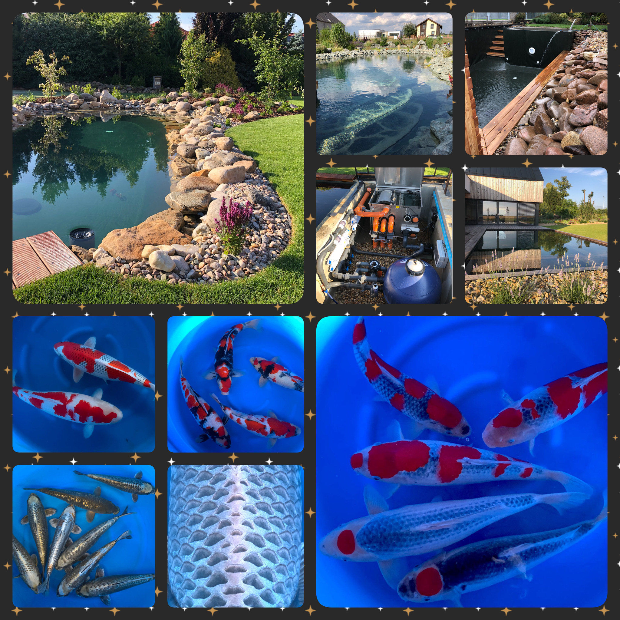 AQUATICA KOI CENTRUM foto 2