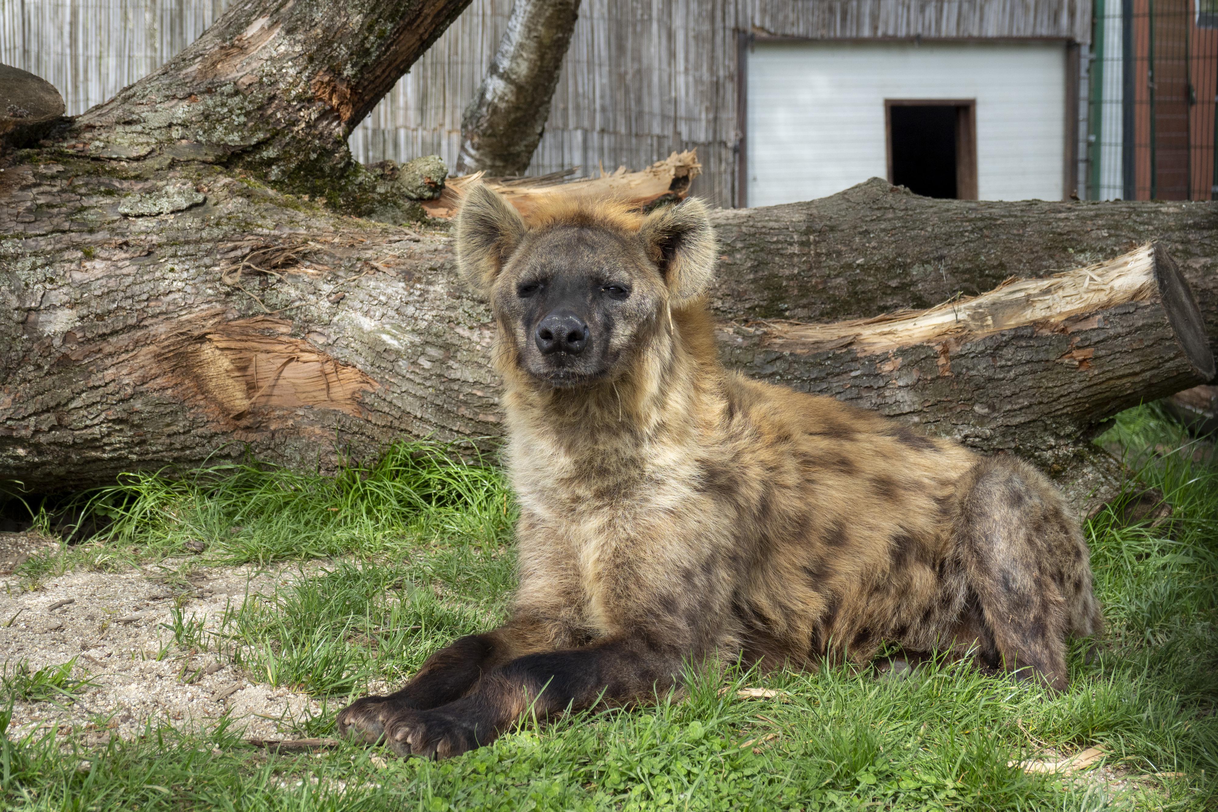 Zoologická zahrada Dvorec foto 6