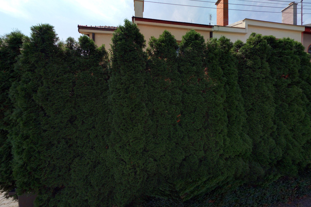 M.P.F., spol. s r.o.