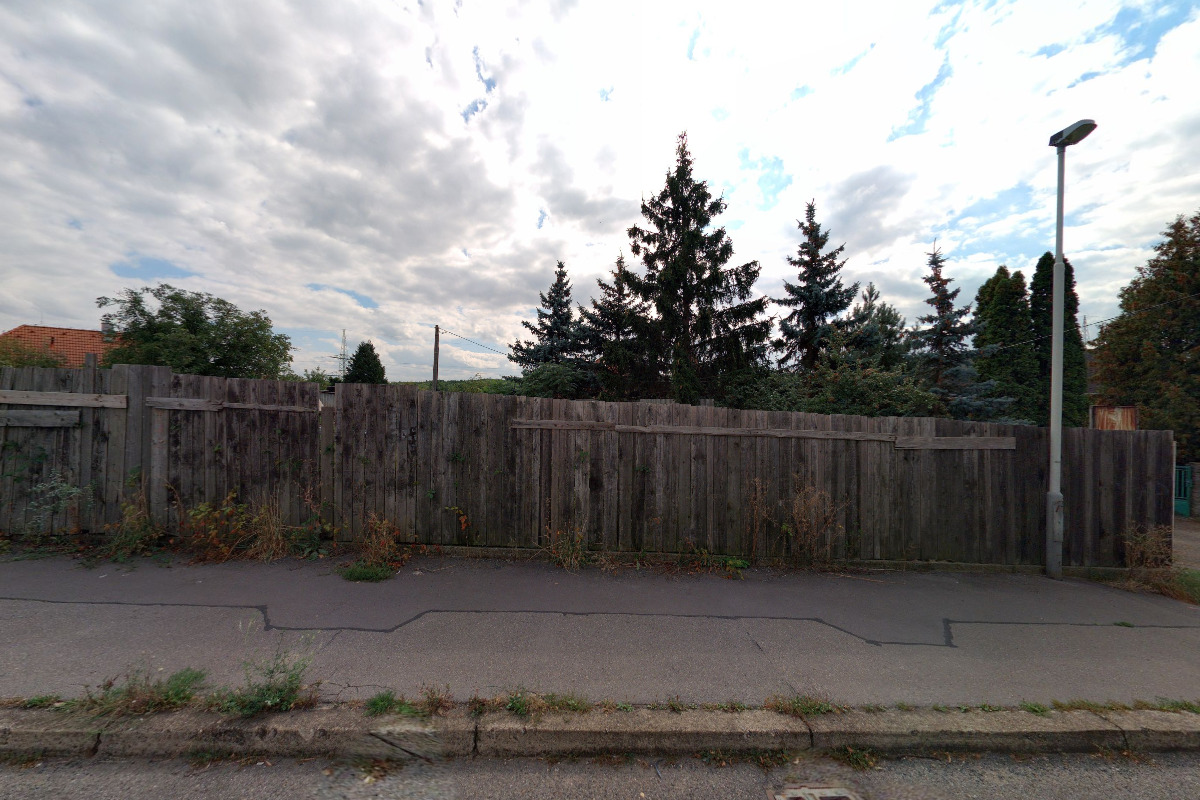 Nešikovná ještěrka