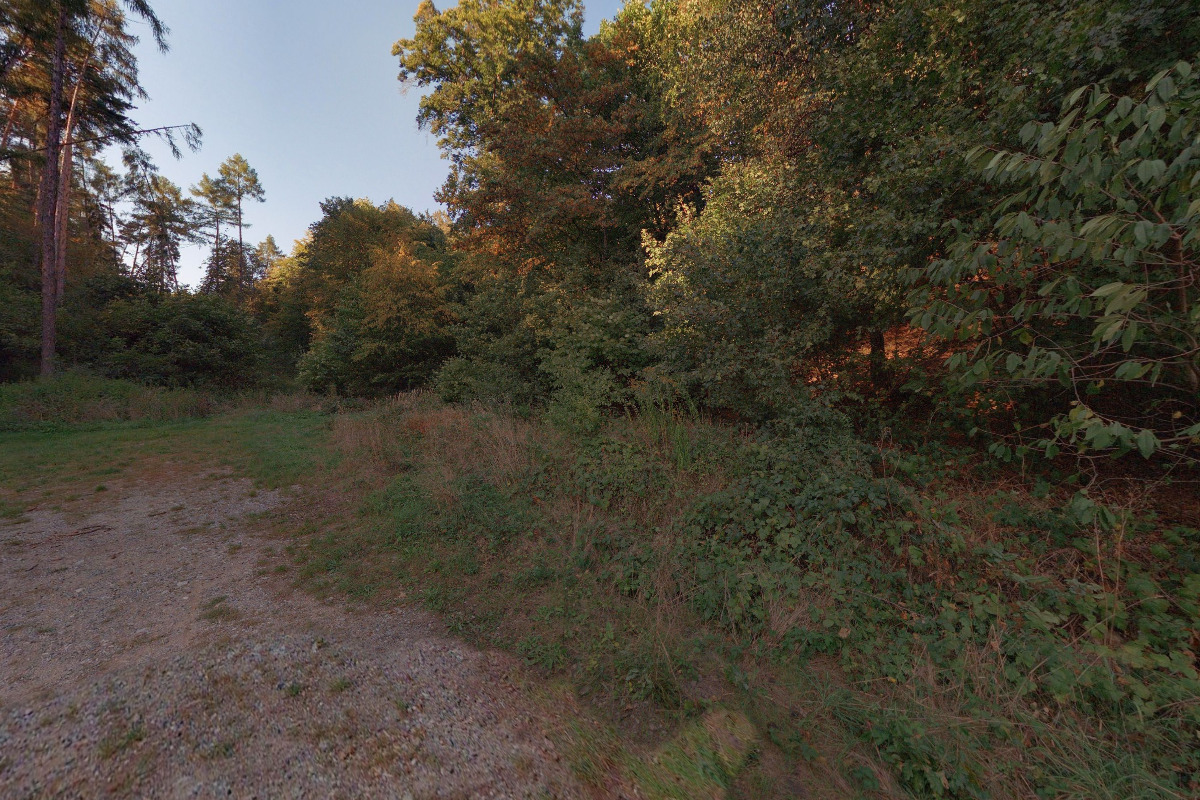 Lesní klub Mariánka