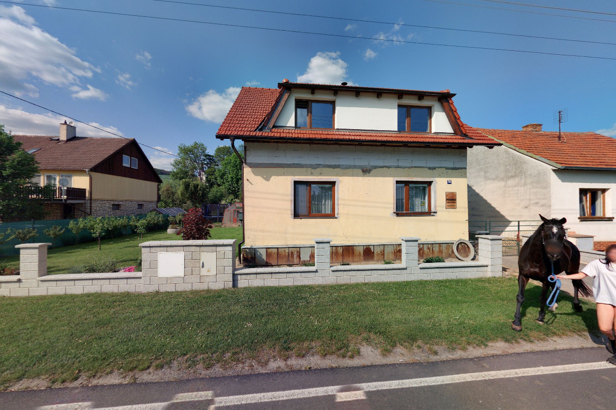 Malířské práce Radek Procházka