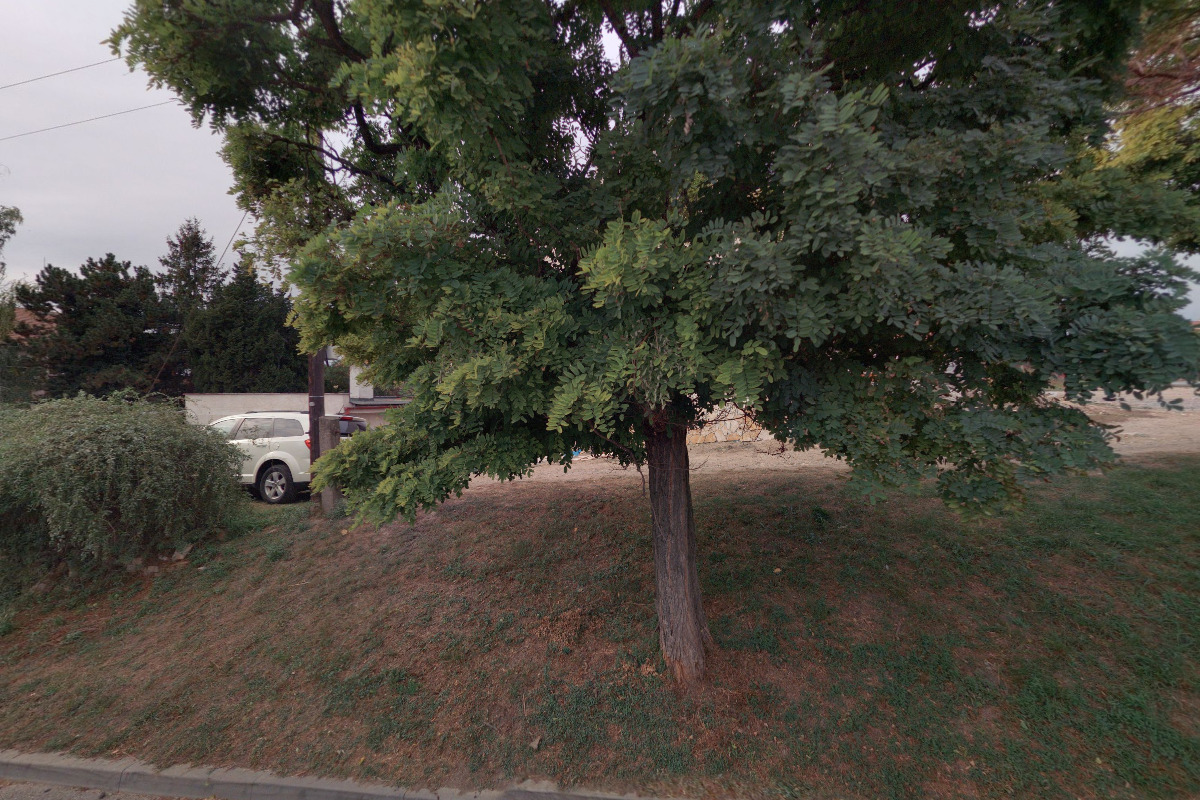 Villa Popice s výhledem na Pálavu foto 1