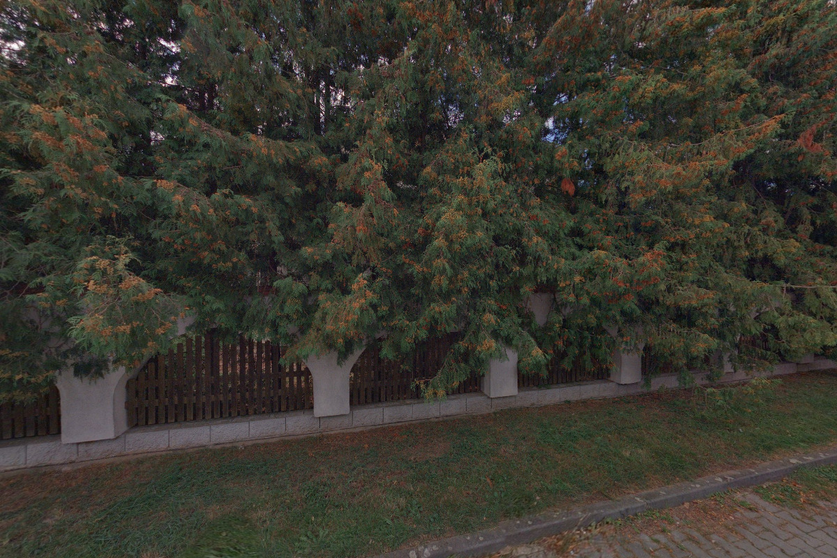 Poctiva, s.r.o. foto 1