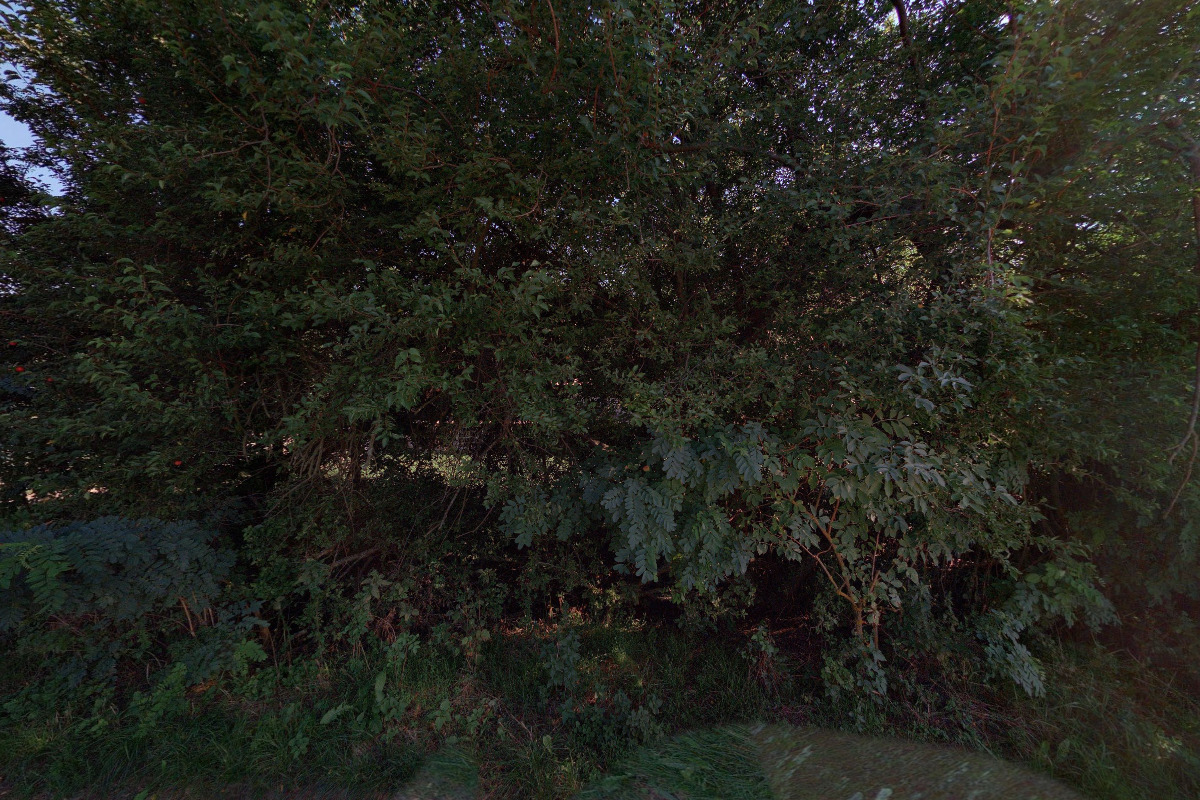 Kynologický klub Bzenec