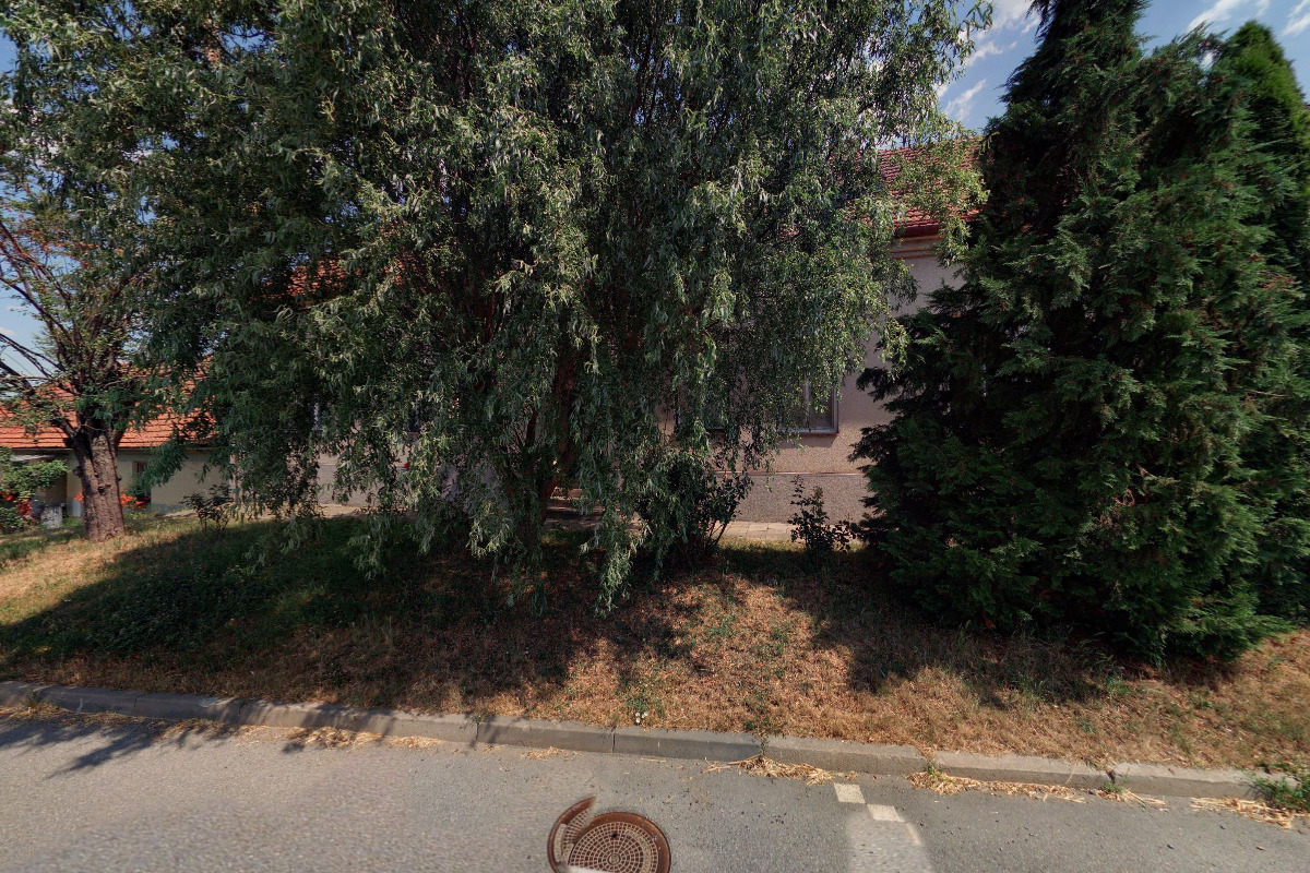 Veterinární ordinace - MVDr. Luděk Slaný foto 2