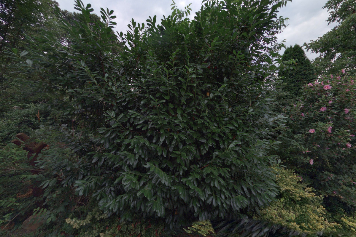 Ubytování v soukromí