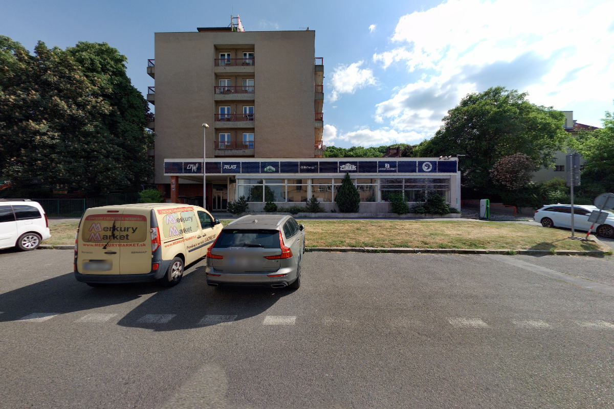 Novofundland klub České republiky foto 2