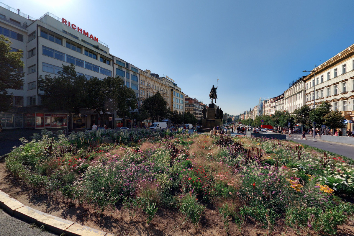 FORTUNA foto 5