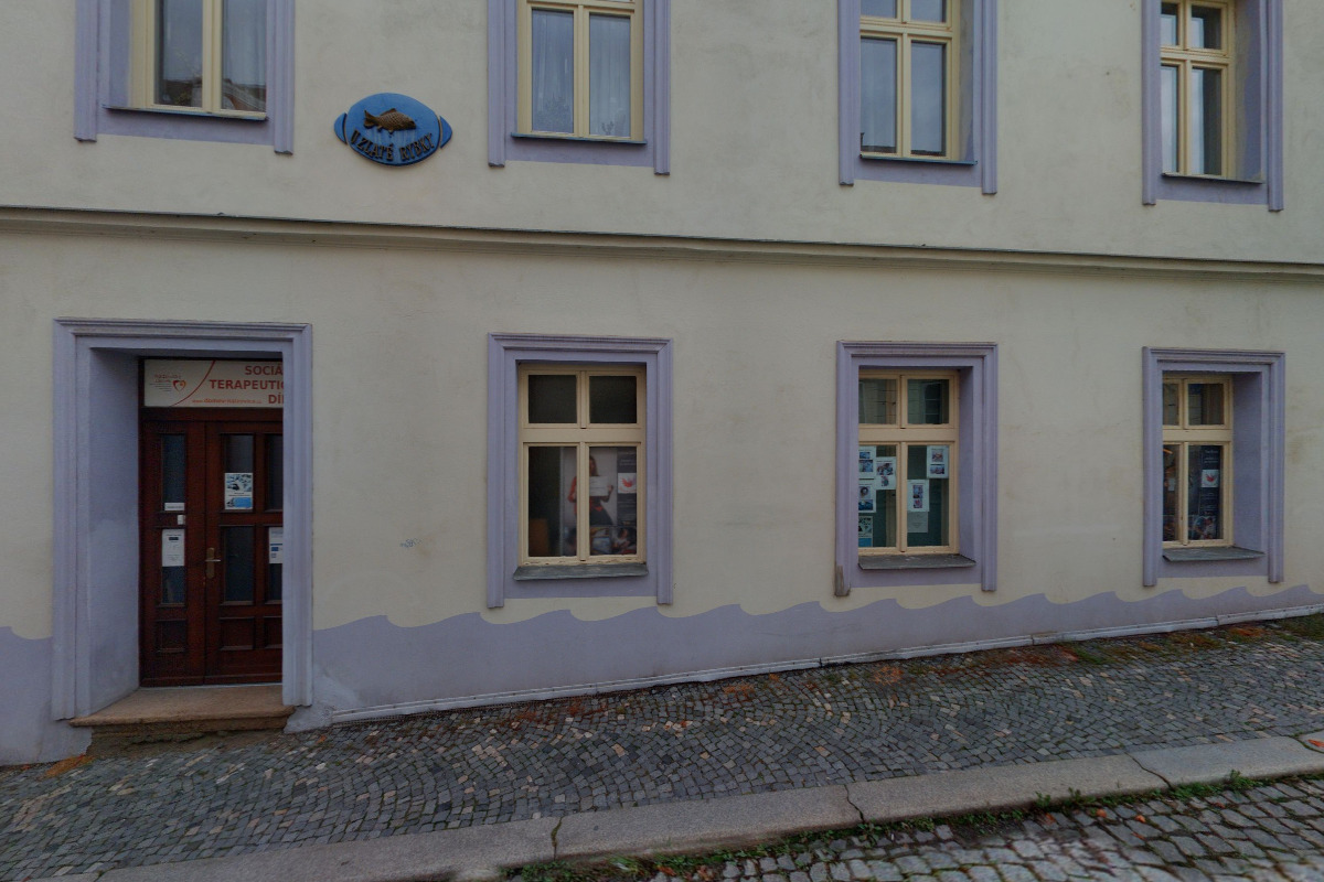 Nalžovický zámek, poskytovatel sociálních služeb