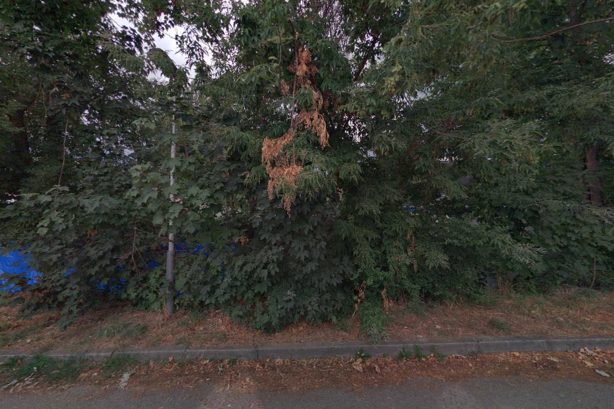 BOHEMIA UNION TRADE, s.r.o.