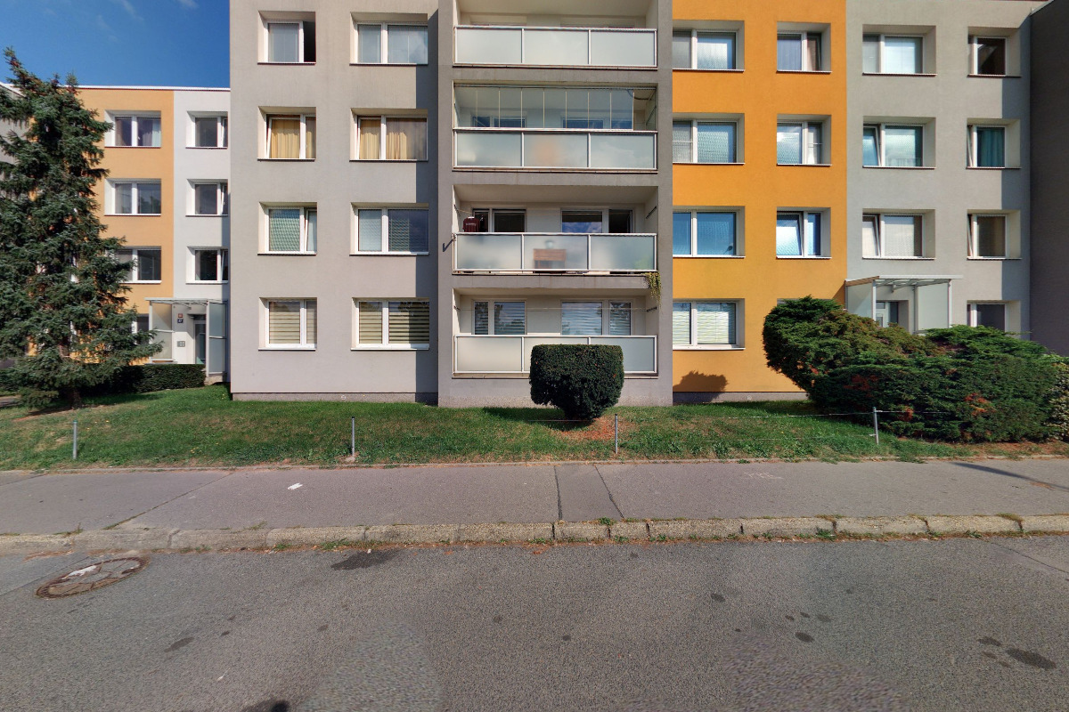 Ayshe Shahin Ahmed foto 5