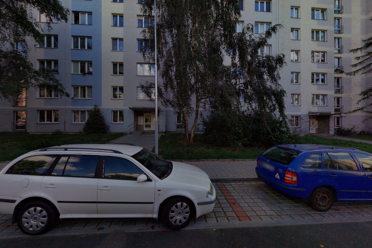 Luis Mauricio Chico Dominguez - podpůrné činnosti pro scénická umění