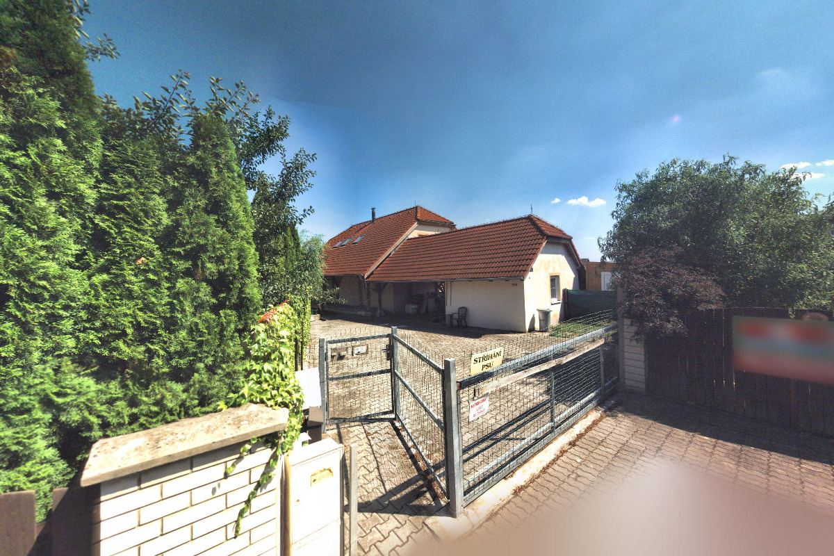 Stříhání a úprava psů - Dana Kovaříková foto 1