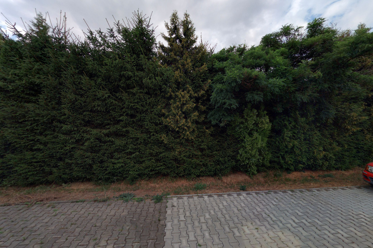 Sedací soupravy Pšenčík