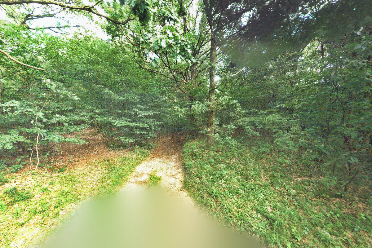 Daňový poradce ev. č. 4807 Ing. Tomáš Doležel