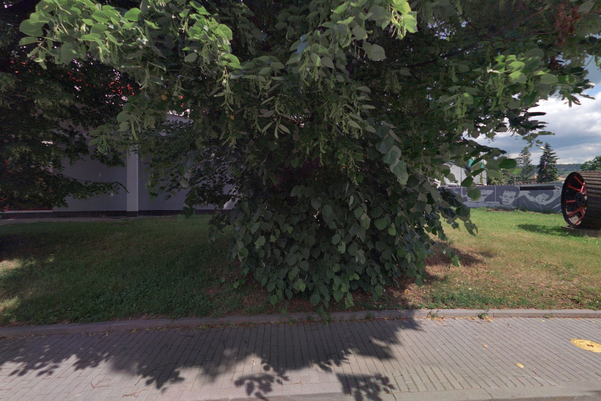 Muzeum regionu Boskovicka – Historické zemědělské stroje foto 5