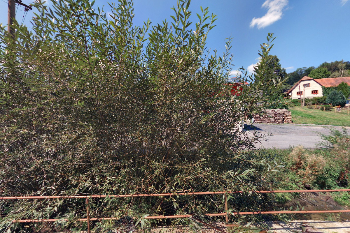 Řeznictví a uzenářství Drašar