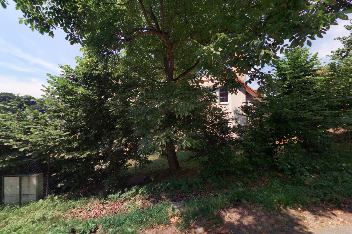 Chovatelská stanice EBELLINI - zlatý retrívr foto 2