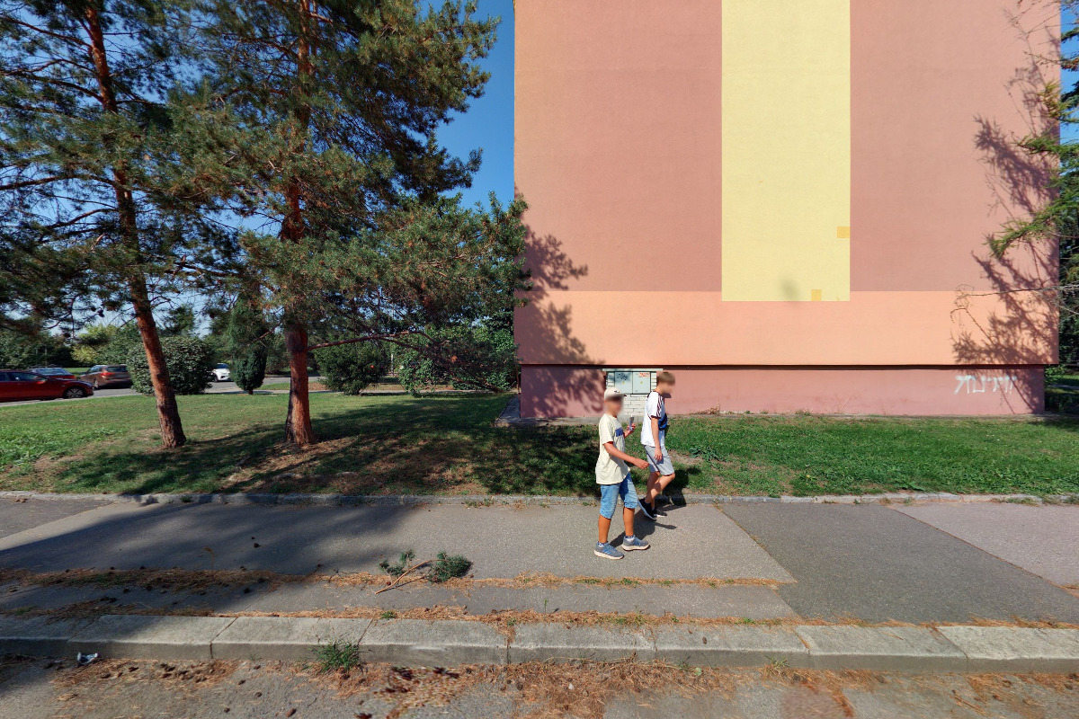 Hodinový manžel Petr Prokop