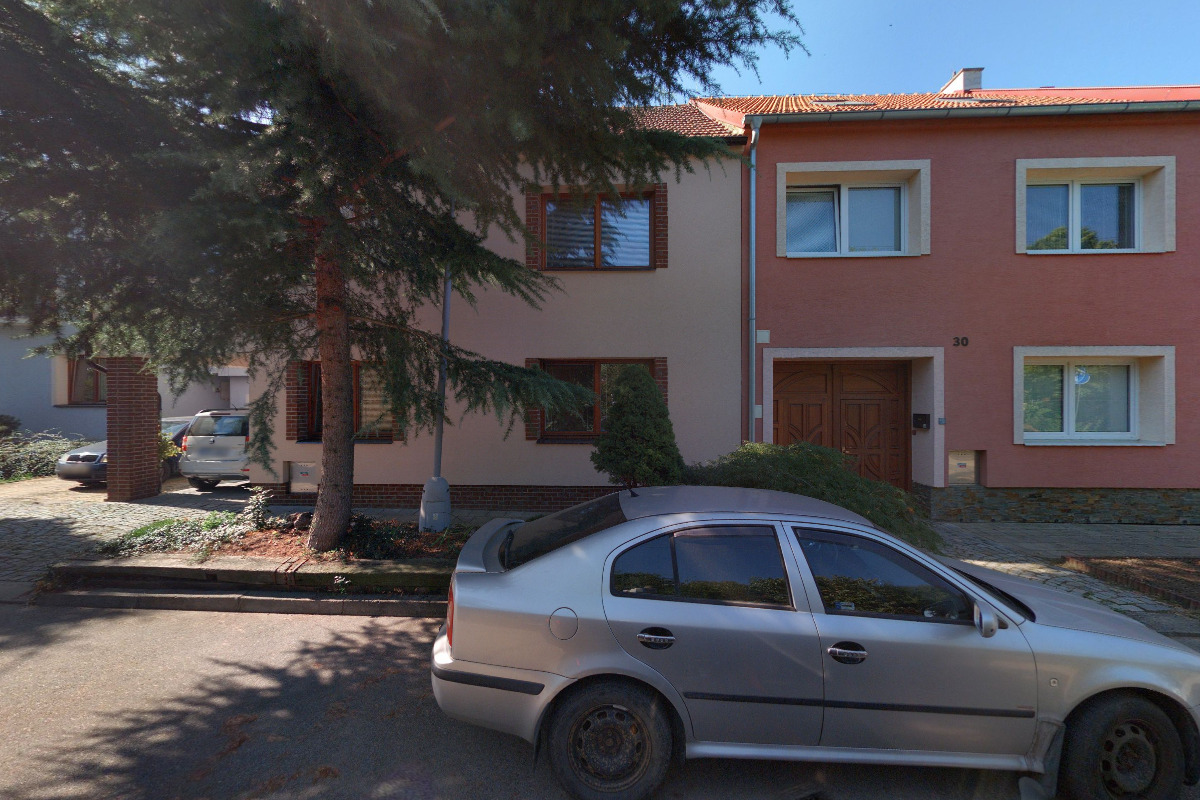 Květiny Burdová foto 2