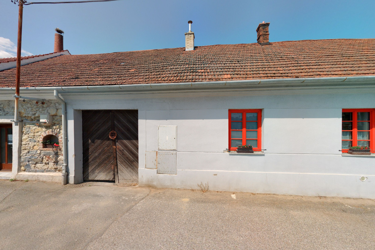 Veterinární ordinace Merlin, MVDr. Petra Miklišová foto 1