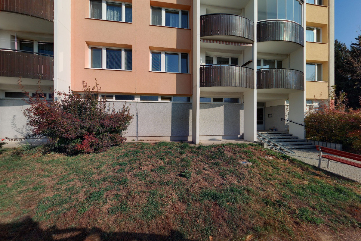 Společnost Dcer křesťanské lásky sv. Vincence de Paul