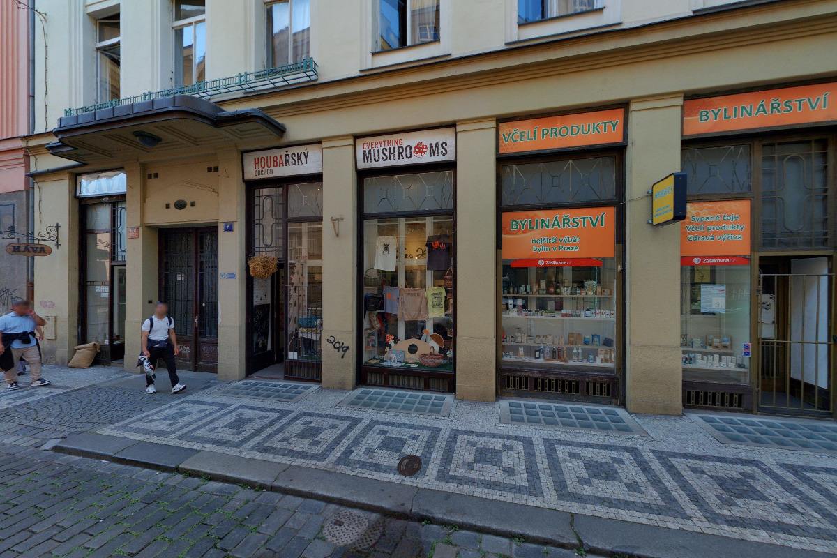 Falešní hráči foto 2