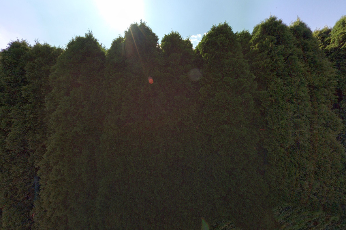 Auto Pneu Servis Tesařík