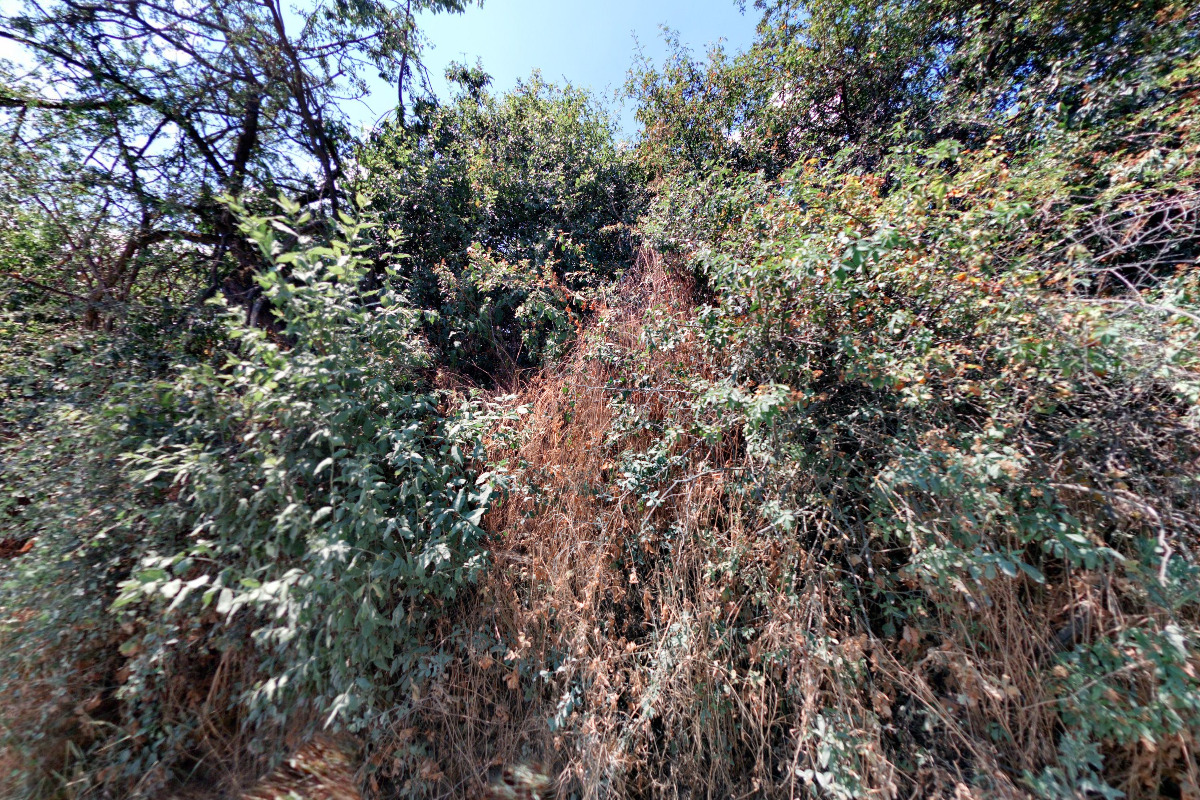 IBERIS, s.r.o. foto 2