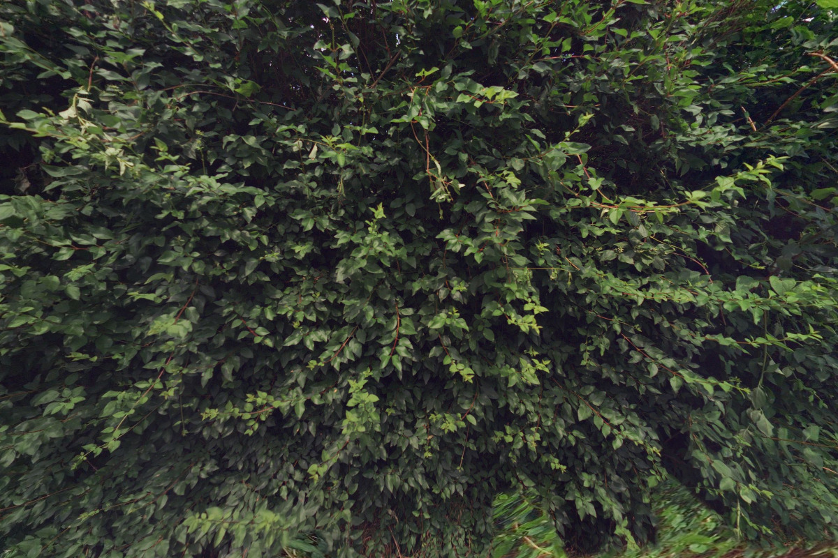 Značky Praha, s.r.o.