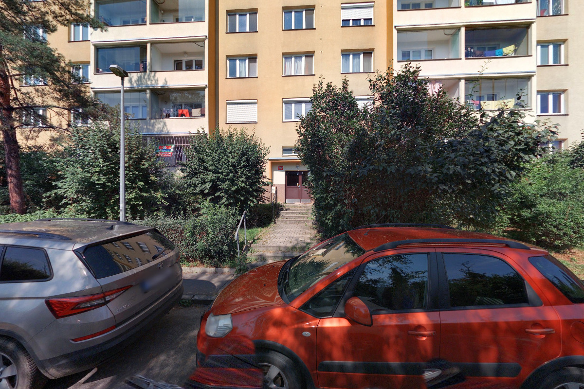 ZO ČSOP Nyctalus foto 2